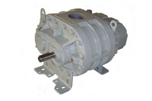 Gas Extraction Blowers